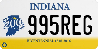 IN license plate 995REG