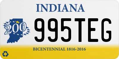 IN license plate 995TEG