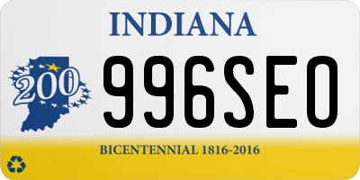 IN license plate 996SEO