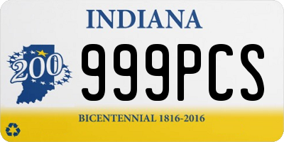 IN license plate 999PCS