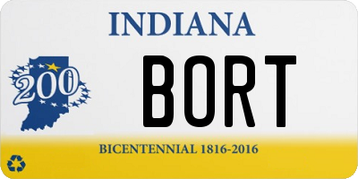 IN license plate BORT