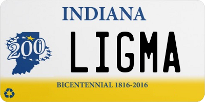 IN license plate LIGMA