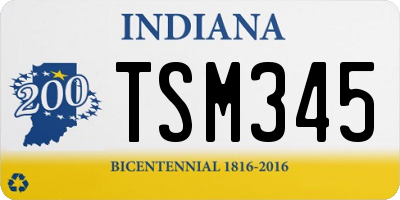 IN license plate TSM345