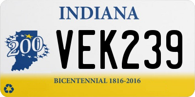 IN license plate VEK239