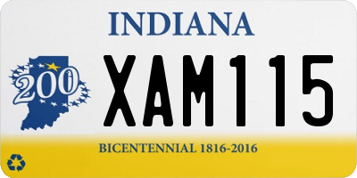 IN license plate XAM115