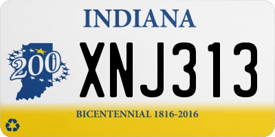 IN license plate XNJ313