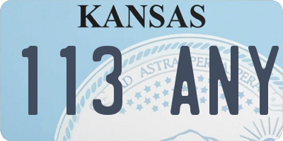 KS license plate 113ANY