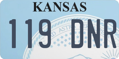 KS license plate 119DNR