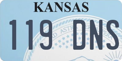 KS license plate 119DNS