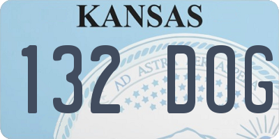 KS license plate 132DOG