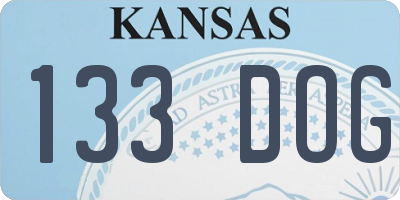 KS license plate 133DOG