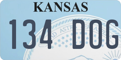 KS license plate 134DOG