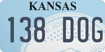 KS license plate 138DOG