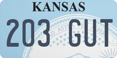 KS license plate 203GUT
