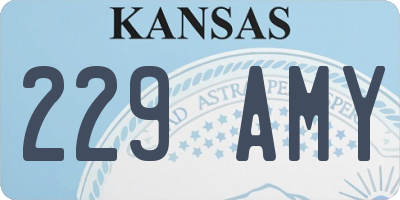 KS license plate 229AMY