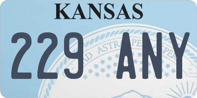 KS license plate 229ANY
