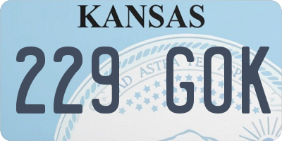 KS license plate 229GOK