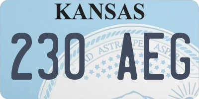 KS license plate 230AEG
