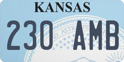 KS license plate 230AMB
