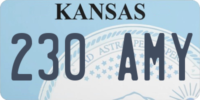 KS license plate 230AMY
