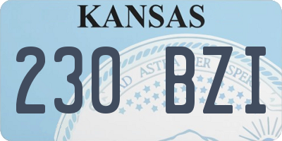 KS license plate 230BZI