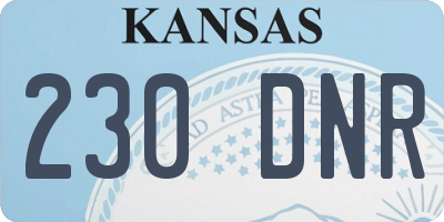 KS license plate 230DNR