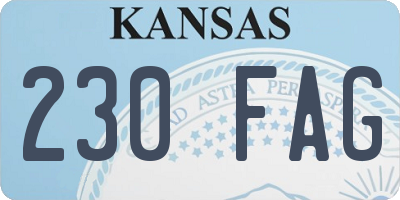 KS license plate 230FAG