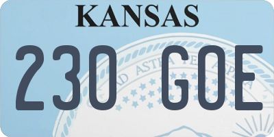 KS license plate 230GOE