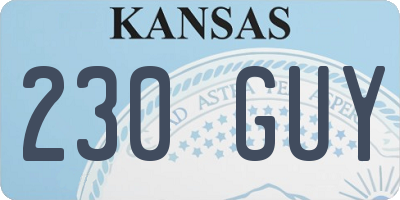 KS license plate 230GUY