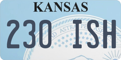 KS license plate 230ISH