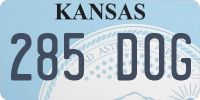 KS license plate 285DOG