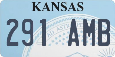 KS license plate 291AMB