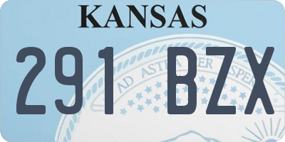 KS license plate 291BZX