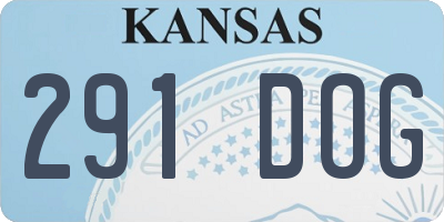 KS license plate 291DOG