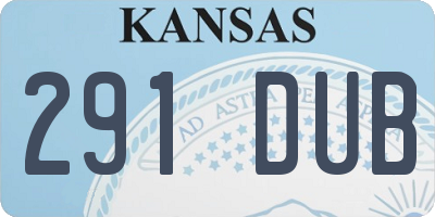 KS license plate 291DUB