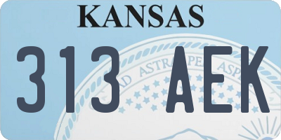KS license plate 313AEK