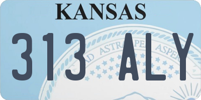 KS license plate 313ALY