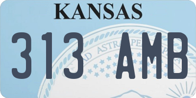 KS license plate 313AMB