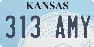 KS license plate 313AMY