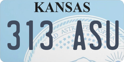 KS license plate 313ASU