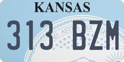 KS license plate 313BZM
