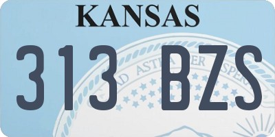 KS license plate 313BZS