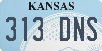 KS license plate 313DNS