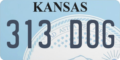 KS license plate 313DOG