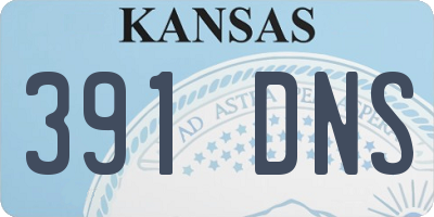 KS license plate 391DNS