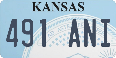 KS license plate 491ANI