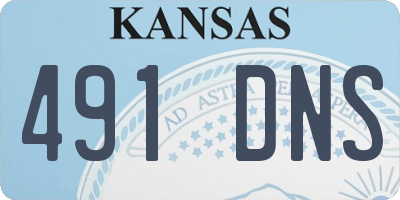 KS license plate 491DNS