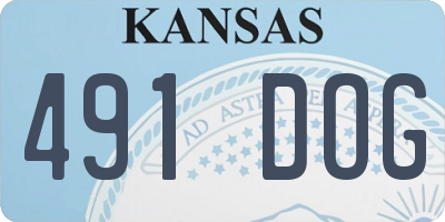 KS license plate 491DOG