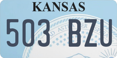 KS license plate 503BZU