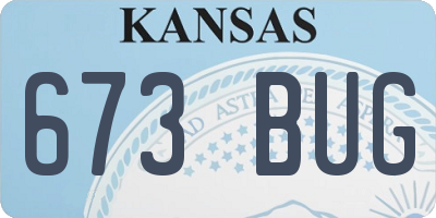 KS license plate 673BUG